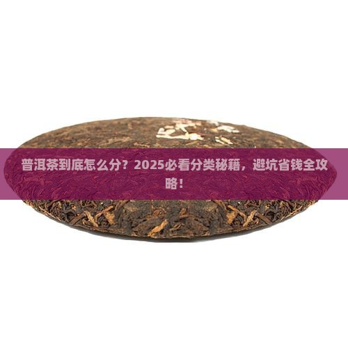 普洱茶的分类知识