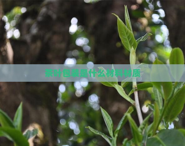 茶叶包装是什么材料