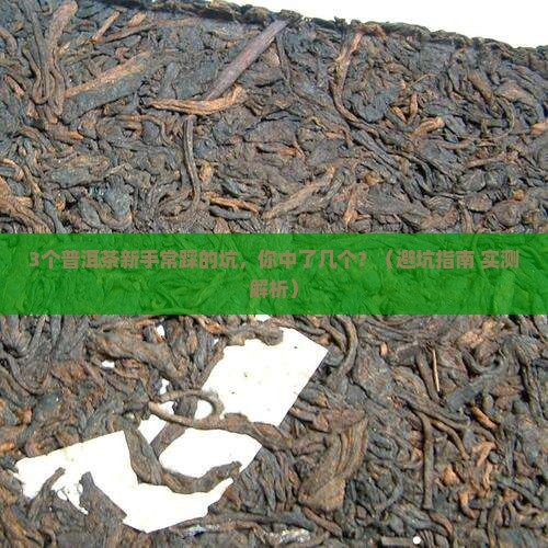 普洱茶分享与交流