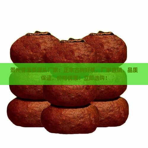 贵州普洱茶源头厂家