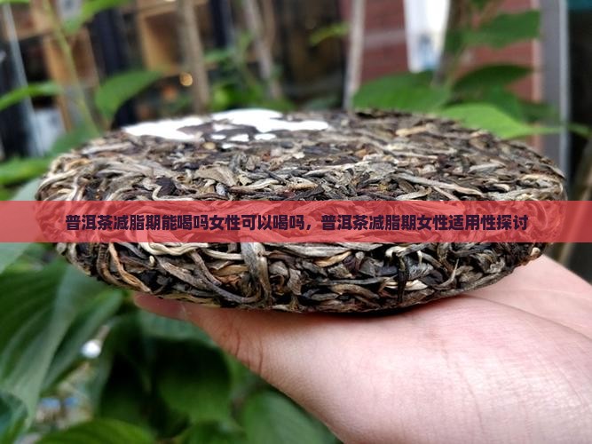 普洱茶减脂期能喝吗女性