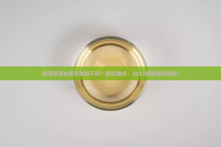 普洱茶湿仓茶有什么特点