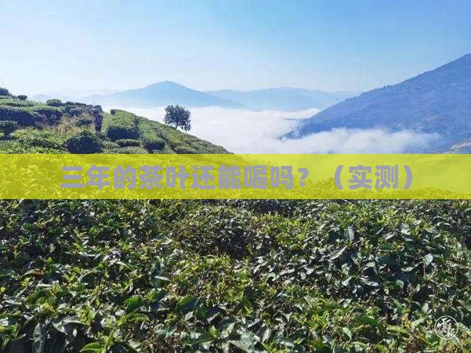 三年的茶叶还能喝吗