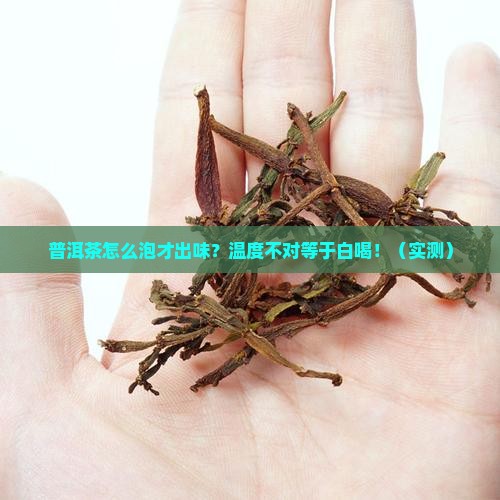 普洱茶的浸泡温度