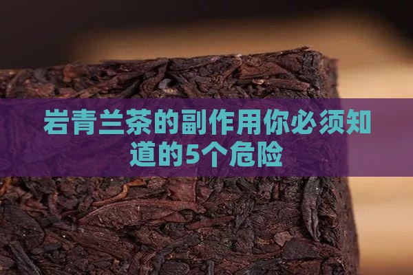 岩青兰茶的副作用