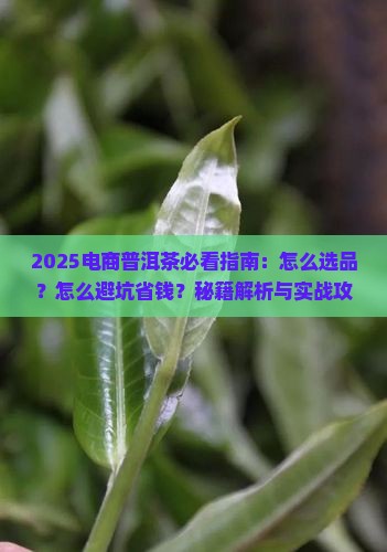 怎么在电商做普洱茶