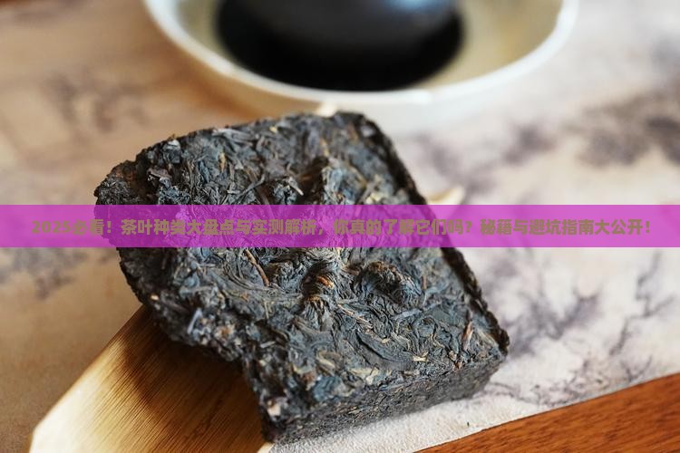 茶叶种类有哪些