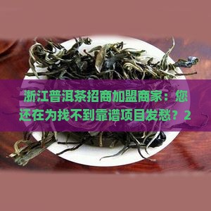浙江普洱茶招商加盟商家