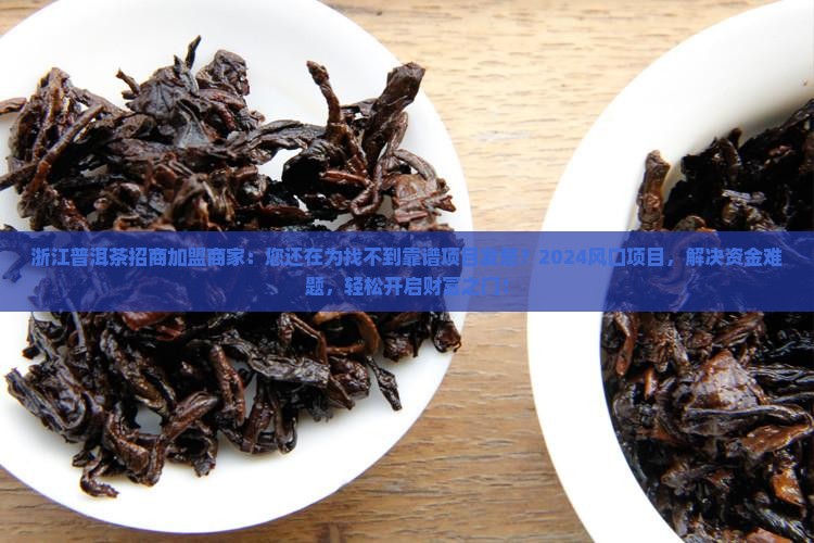 浙江普洱茶招商加盟商家