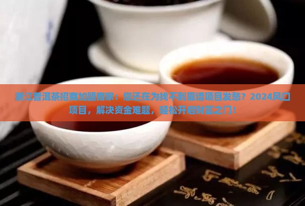 浙江普洱茶招商加盟商家