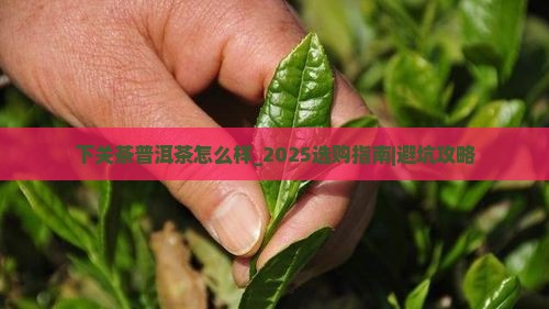 下关茶普洱茶怎么样