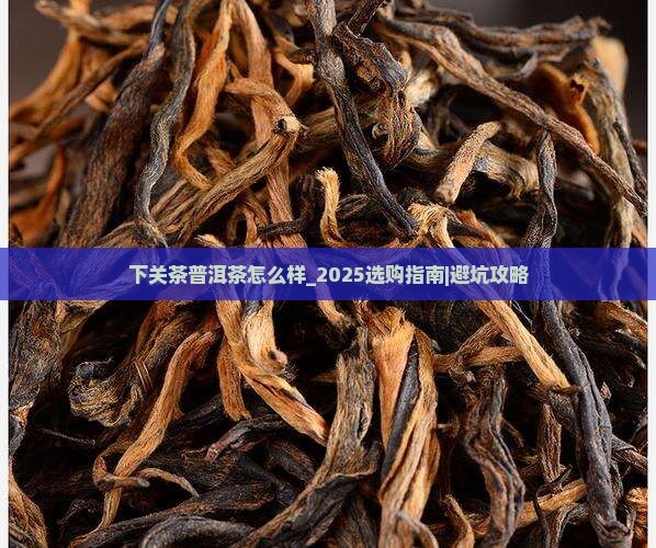 下关茶普洱茶怎么样