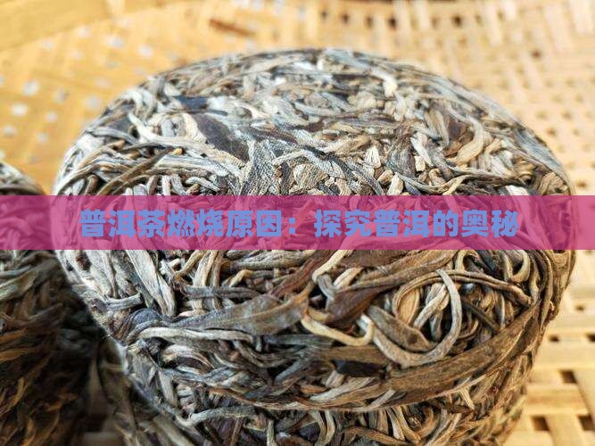 普洱茶燃烧原因