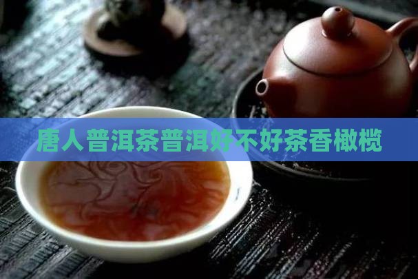 唐人祥茶叶好不好茶香橄榄