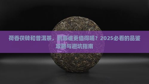 荷香茯砖和普洱茶
