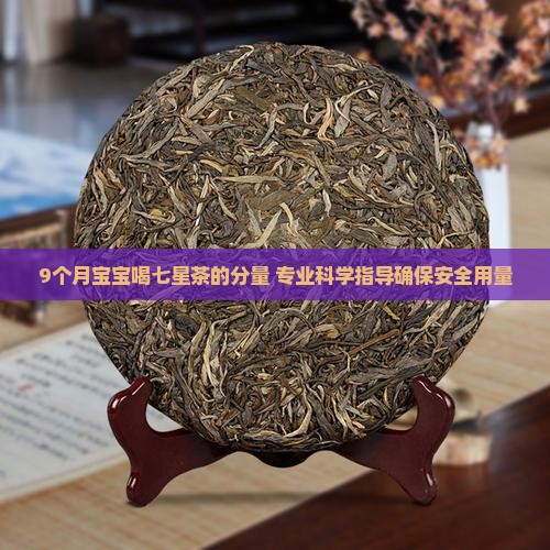 9个月宝宝喝七星茶的分量