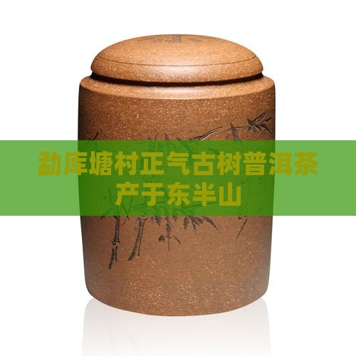 勐库东半山的普洱茶