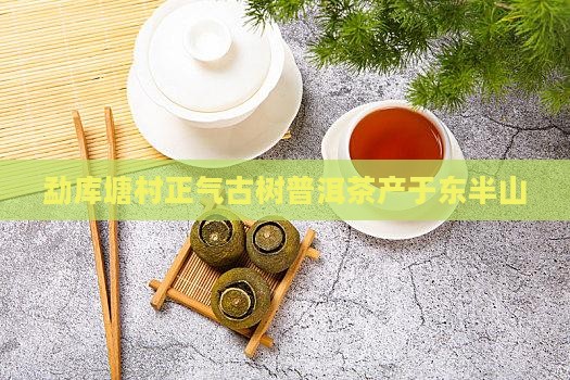 勐库东半山的普洱茶