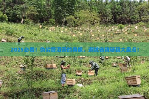 什么是伪劣普洱茶产品特征