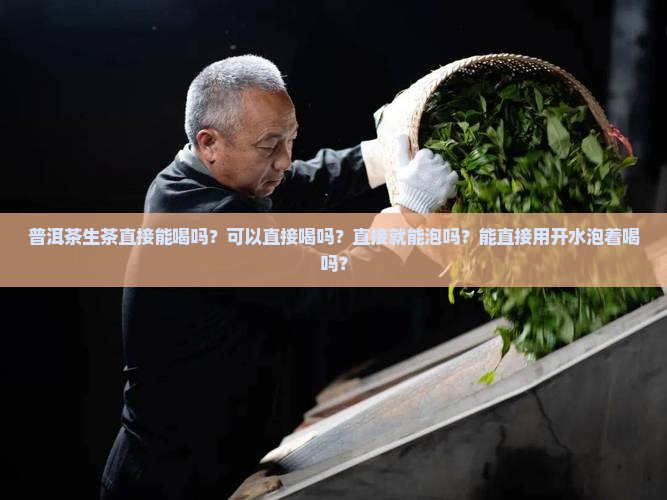 普洱茶生茶直接能喝
