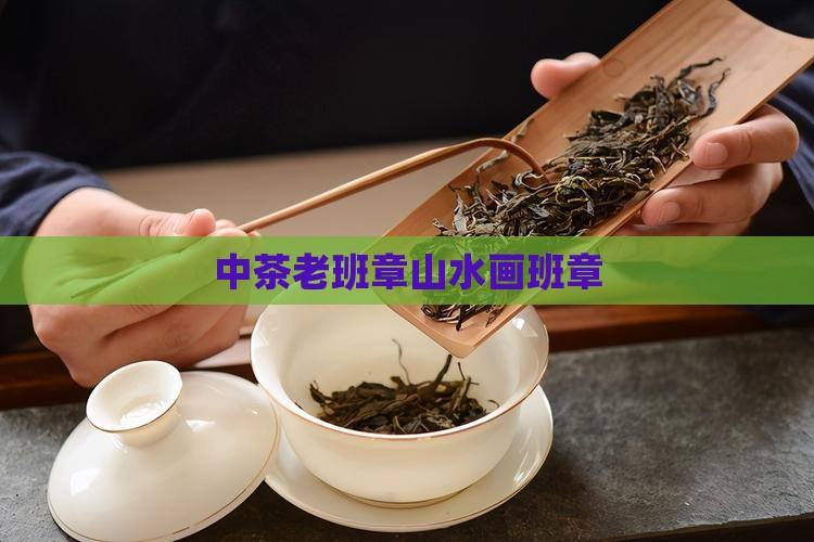 中茶老班章山水画