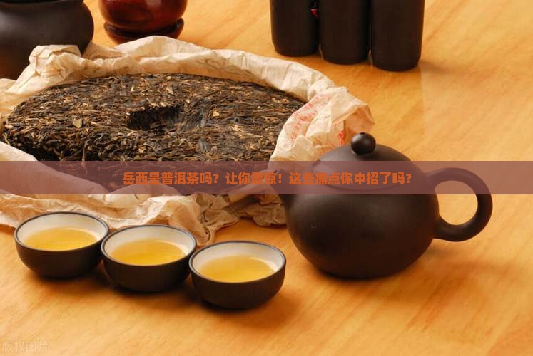 岳西是普洱茶吗