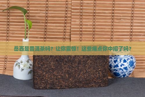 岳西是普洱茶吗