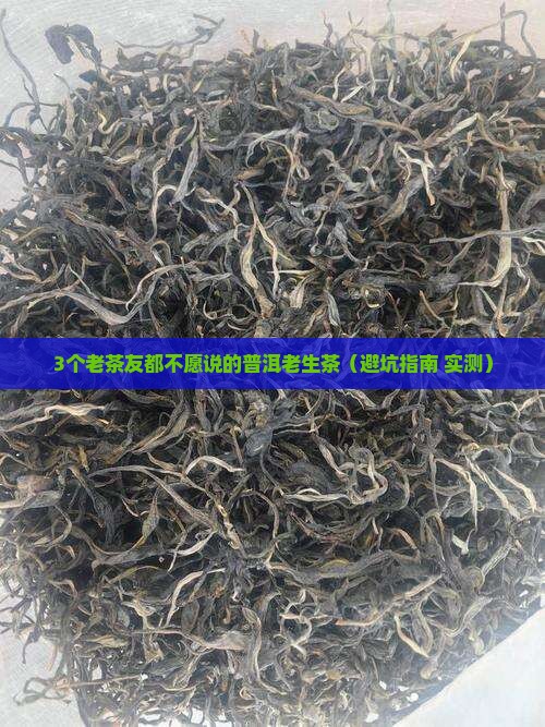 普洱老生茶特点