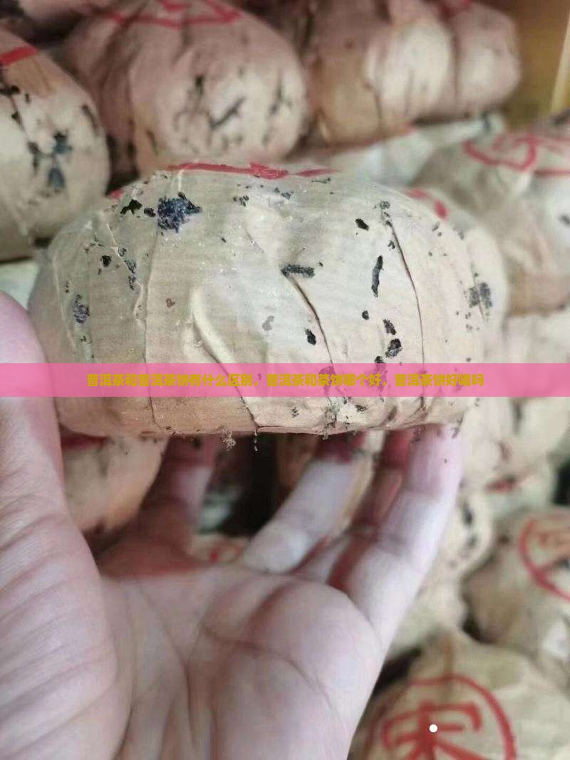 普洱茶和普洱茶饼