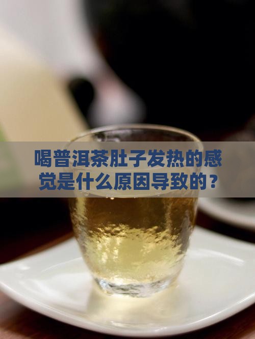 喝普洱茶肚子热
