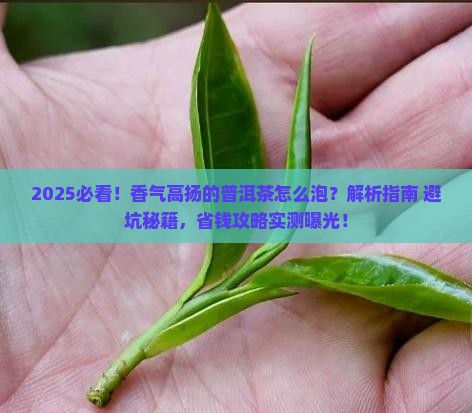 香气高扬的普洱茶怎么泡