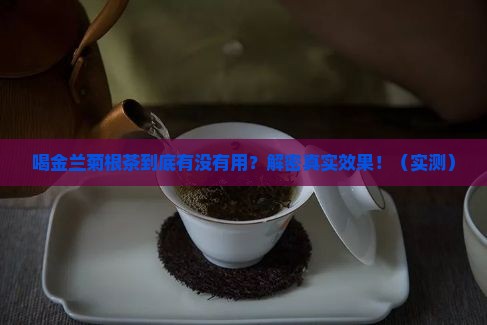 喝金兰菊根茶的好处
