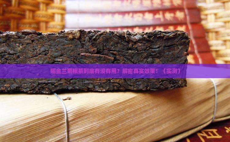 喝金兰菊根茶的好处