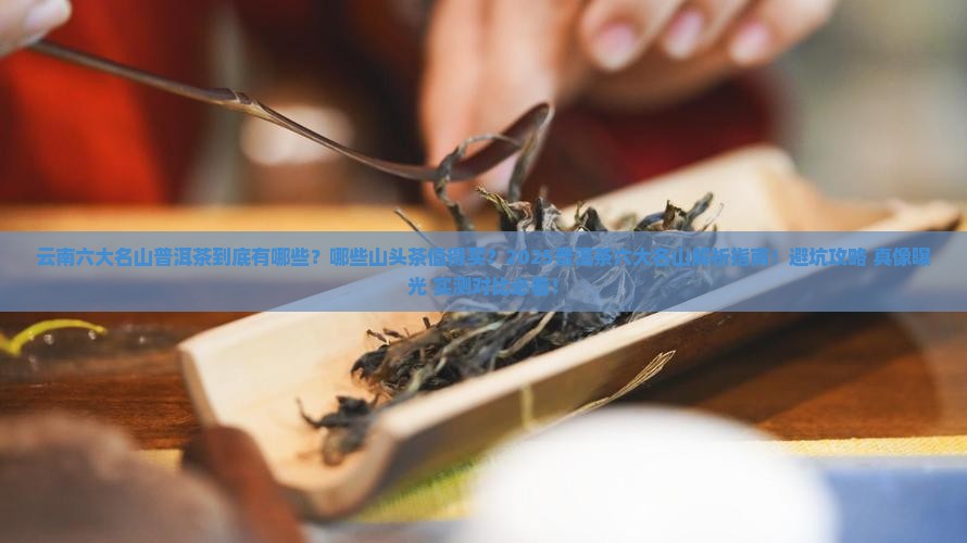 云南六大名山普洱茶