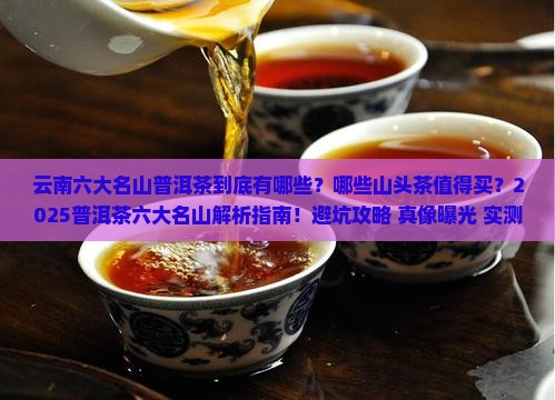 云南六大名山普洱茶