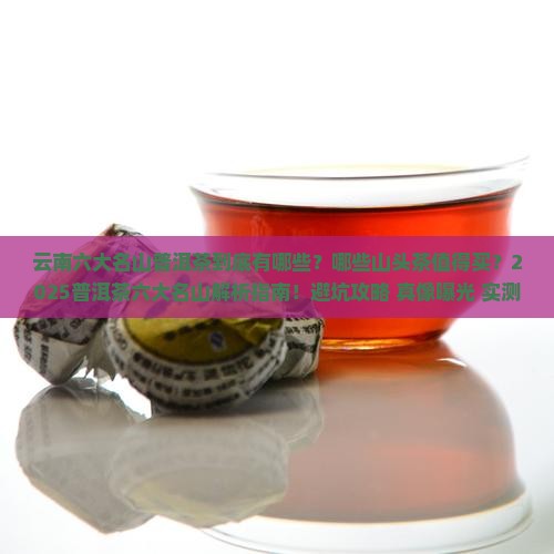云南六大名山普洱茶