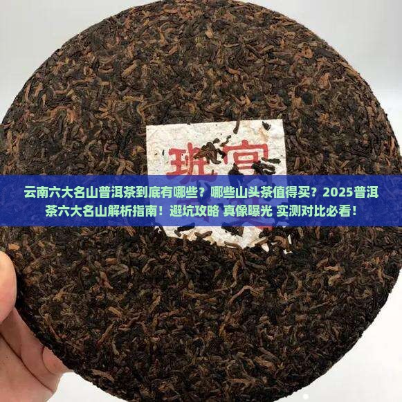 云南六大名山普洱茶