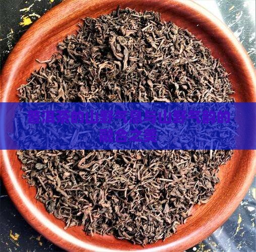 普洱茶的山野气息