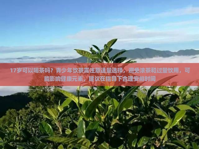 17岁能喝茶吗