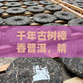 千年古树樟香普洱，精选熟茶醇厚韵味