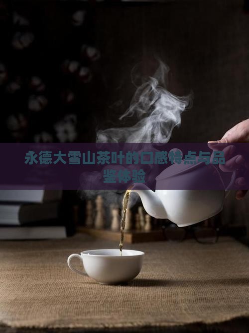 永德大雪山茶叶的口感特点与品鉴体验