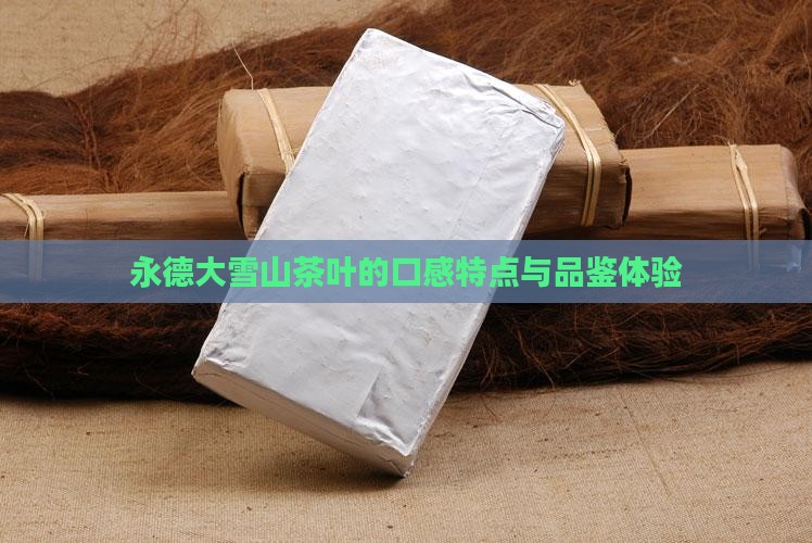 永德大雪山茶叶的口感特点与品鉴体验