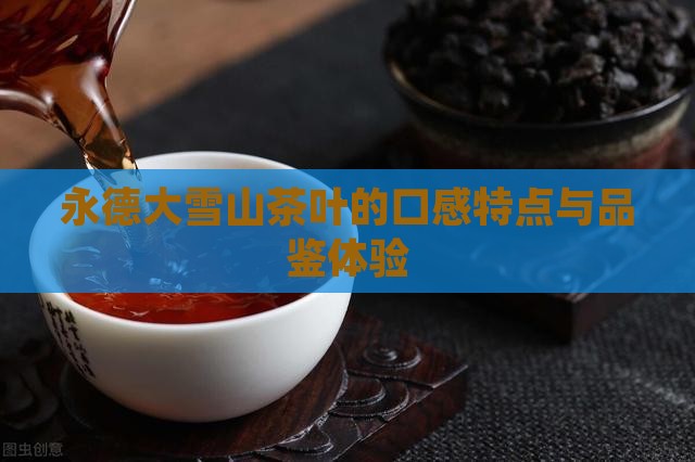 永德大雪山茶叶的口感特点与品鉴体验