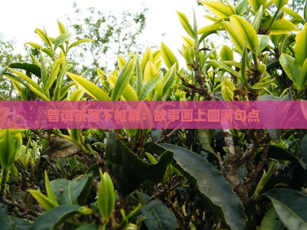 普洱茶落下帷幕：故事画上圆满句点