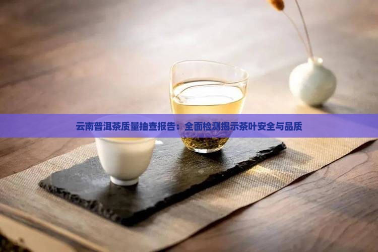 云南普洱茶质量抽查报告：全面检测揭示茶叶安全与品质