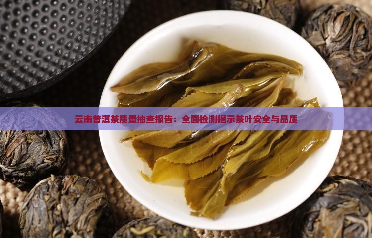 云南普洱茶质量抽查报告：全面检测揭示茶叶安全与品质