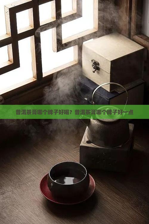 普洱茶膏哪个牌子好喝？普洱茶膏哪个牌子好一点