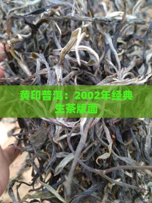 黄印普洱：2002年经典生茶版面