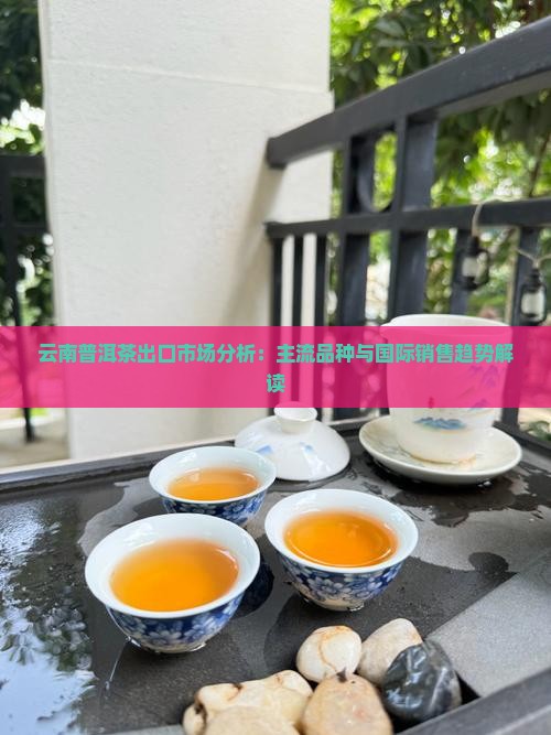 云南普洱茶出口市场分析：主流品种与国际销售趋势解读
