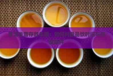 普洱生普存放年限：如何判断品饮时间与存储条件